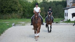 srpen 2011