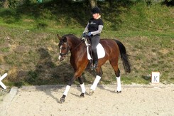 d.pincus-clinic-2012-minarik-dressage_13.jpg