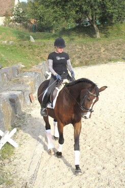 d.pincus-clinic-2012-minarik-dressage_14_1.jpg