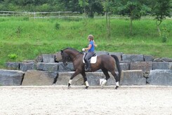 minarik-dressage-cerven-2012_07.jpg