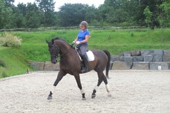 minarik-dressage-cerven-2012_08_1.jpg