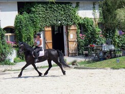 minarik-dressage.2014_11.jpg