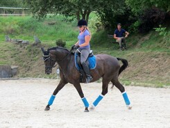 minarik-dressage.2014_14.jpg