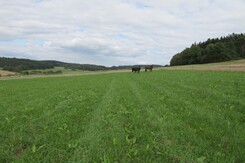 nov___v__b__h_2011_21.jpg