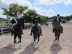 riding-school-minarik-dressage.2016_08.jpg