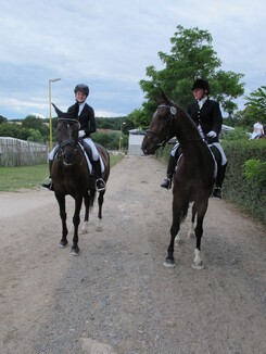 riding-school-minarik-dressage.2016_10_2.jpg