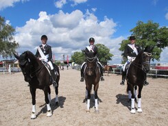 riding-school-minarik-dressage.2016_14.jpg