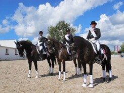 riding-school-minarik-dressage.2016_16.jpg