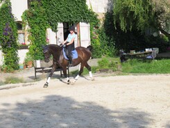 riding-school-minarik-dressage.2016_22.jpg