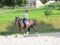 riding-school-minarik-dressage.2016_23.jpg