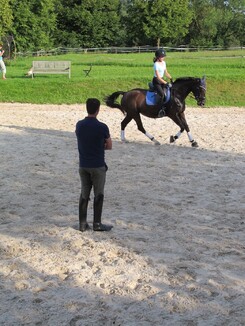 riding-school-minarik-dressage.2016_24.jpg